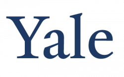 09-logo-color-examples